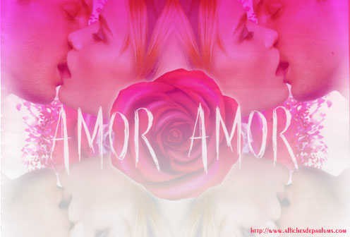 amor amor